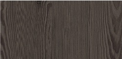 Anthracite Mountian Larch